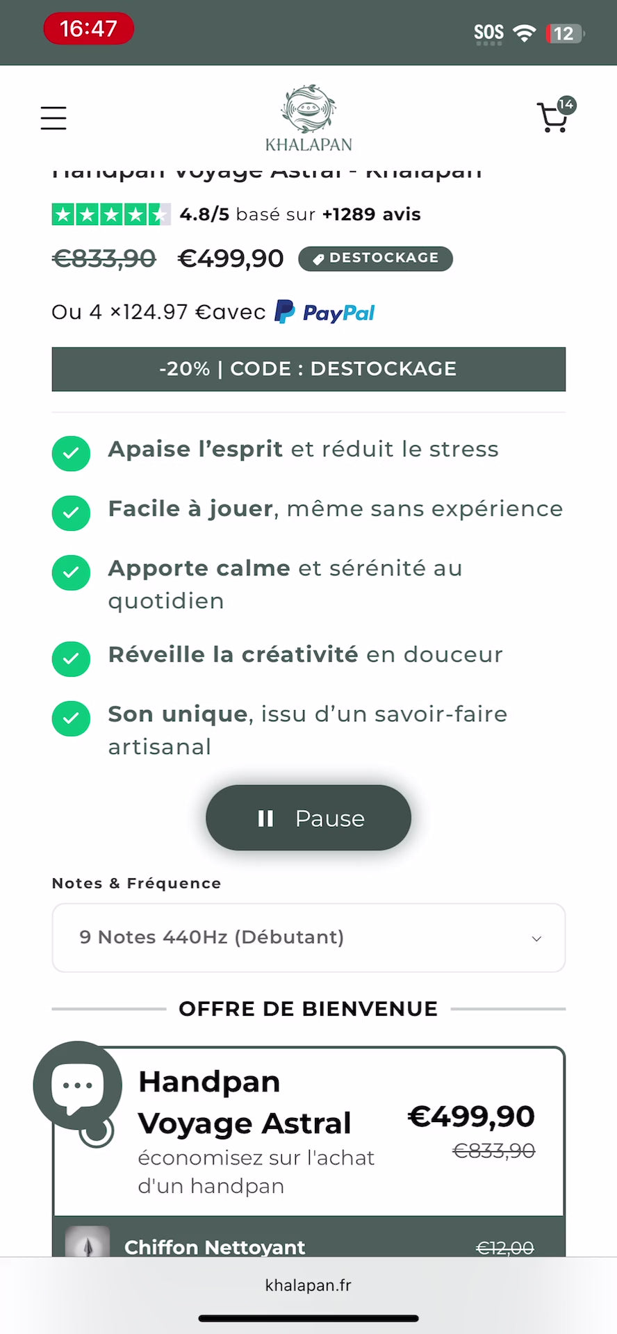 Démonstration sonore — Handpan Évasion Astrale — Ré mineur (D Kurd)